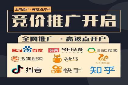 实战技巧：竞价推广案例解析与优化策略